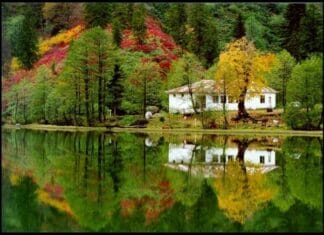 The Congress of Berlin and Its Decisions