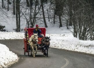 The Story of Dr. Bob Munger