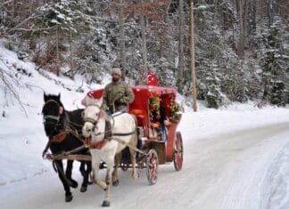 Signs of Losing First Love