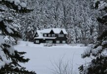 The Power of First Love