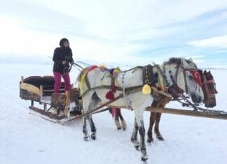 The Second Problem The Error of the Nicolaitans