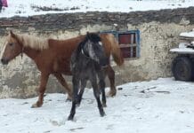 The Deesis in the Apse