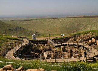 Newspapers and Public Opinion in Athens