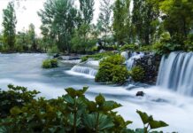 Different Ways of Sacrifice in Egypt