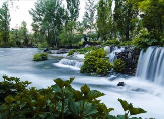 Different Ways of Sacrifice in Egypt