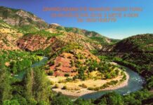 Different Gods and Different Sacrifices in Egypt