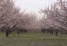 The Mission to Ethiopia Begins