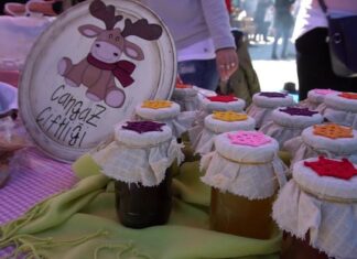 Questions About Life and Food