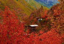 The Uncertain Language of the Pelasgi