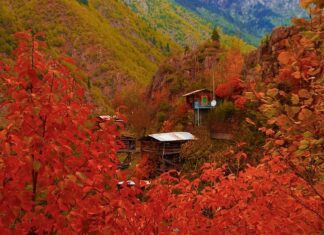 The Uncertain Language of the Pelasgi